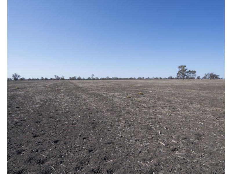 “Duffs Lea”, Rowena NSW 2387