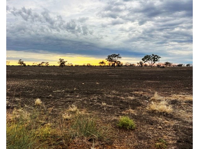 “Duffs Lea”, Rowena NSW 2387