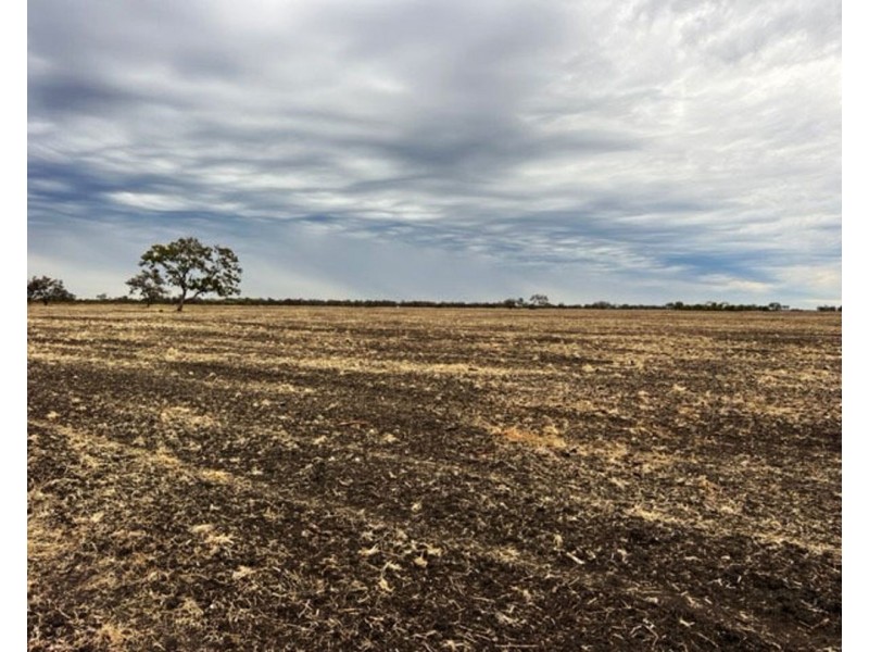 “Duffs Lea”, Rowena NSW 2387