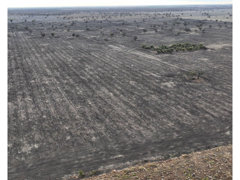 “Duffs Lea”, Rowena NSW 2387