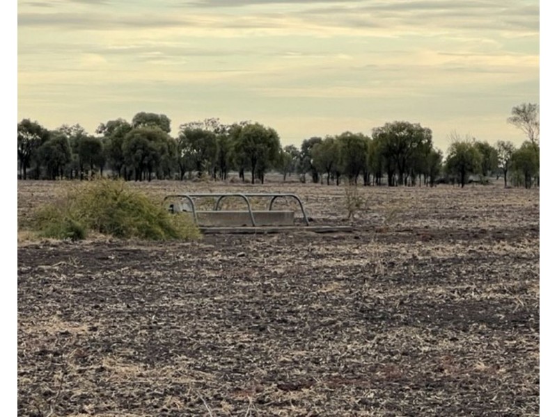 “Duffs Lea”, Rowena NSW 2387