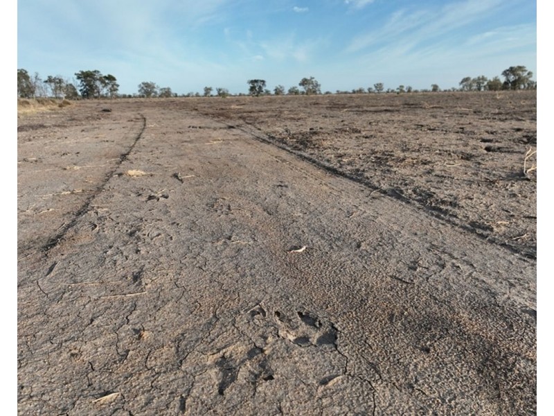 Part “Mena”, Garah NSW 2405