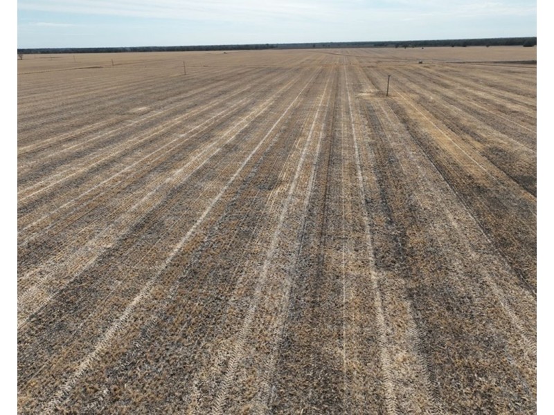 Troy, Moree NSW 2400