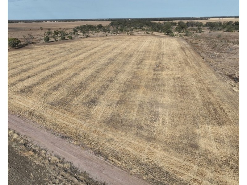 Troy, Moree NSW 2400