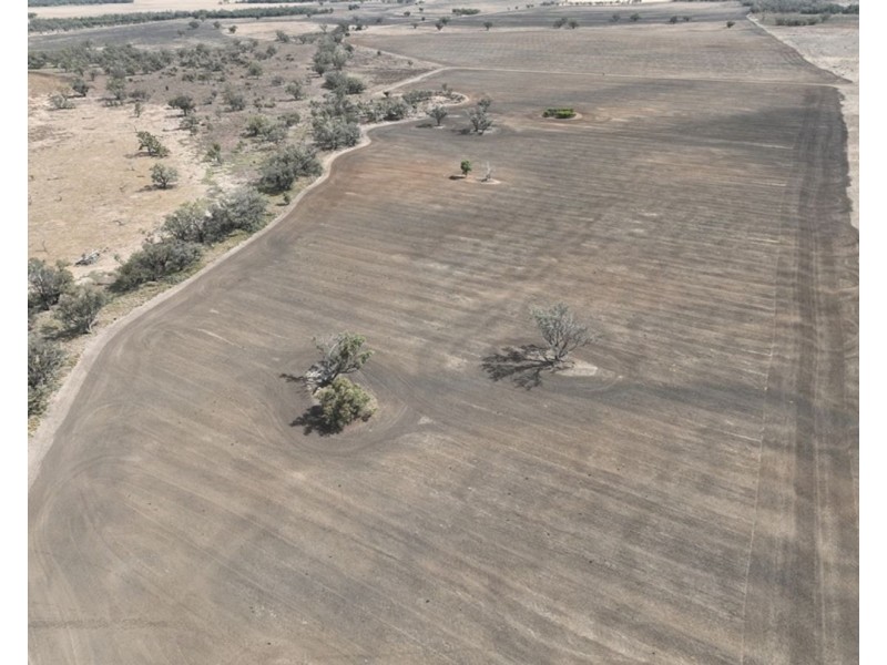 Troy, Moree NSW 2400