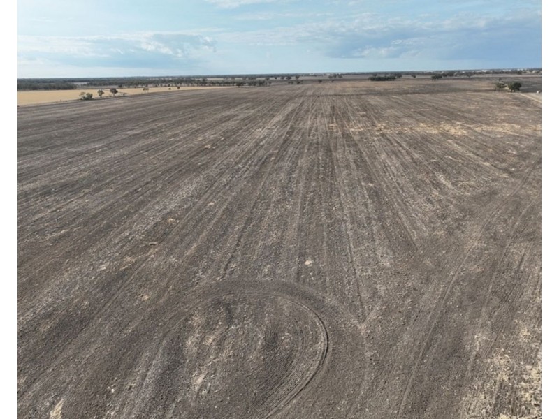 Troy, Moree NSW 2400