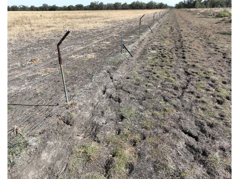 Troy, Moree NSW 2400