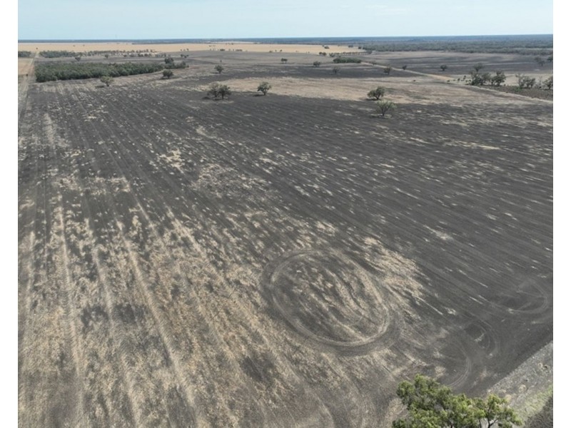Troy, Moree NSW 2400