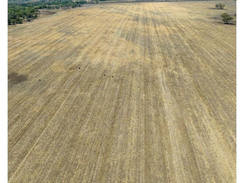 Troy, Moree NSW 2400