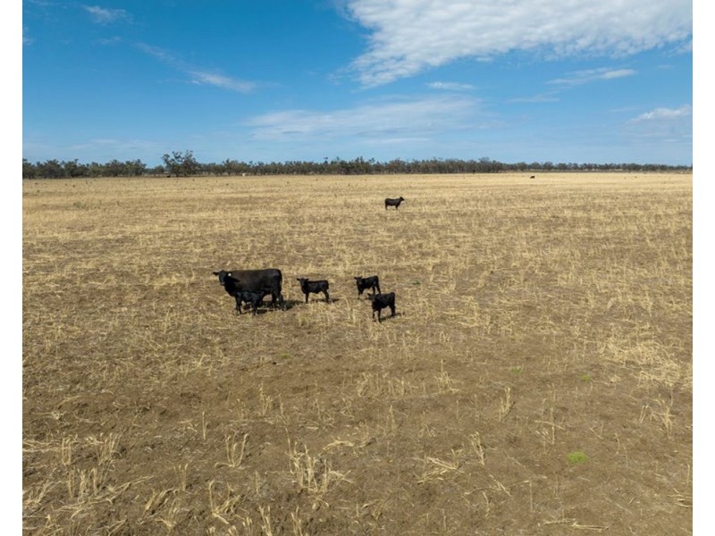 Troy, Moree NSW 2400