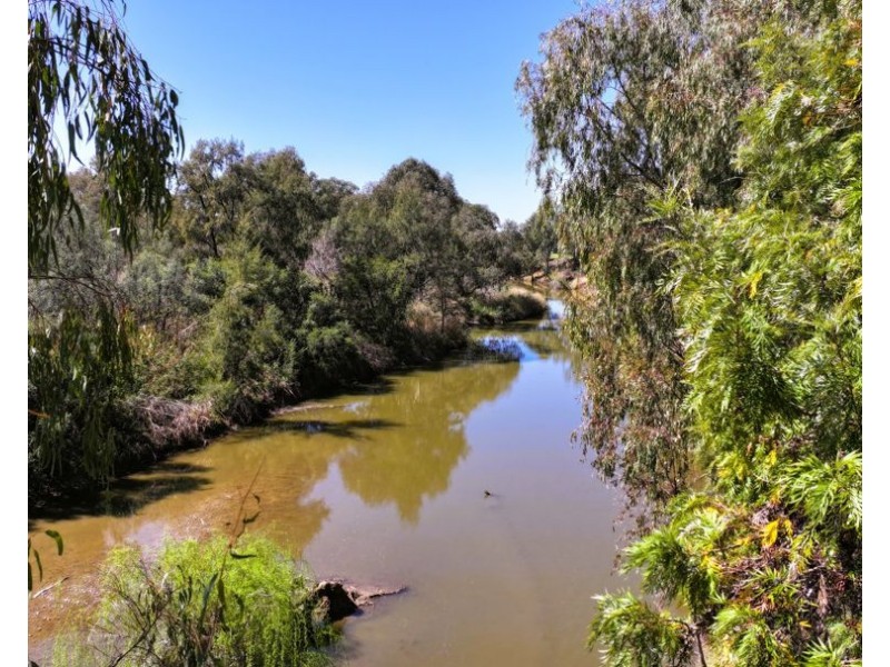 261 River Street, Moree NSW 2400