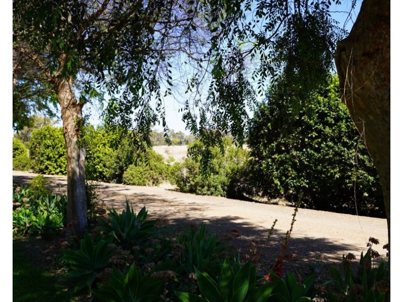 259 River Street, Moree NSW 2400