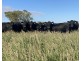 Guildford Aggregation, Boomi NSW 2405