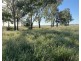 Guildford Aggregation, Boomi NSW 2405