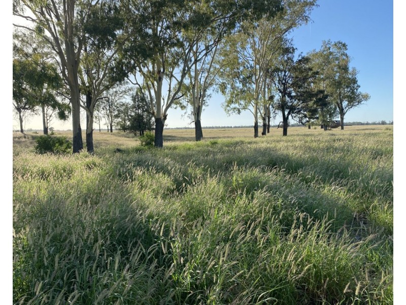Guildford Aggregation, Boomi NSW 2405