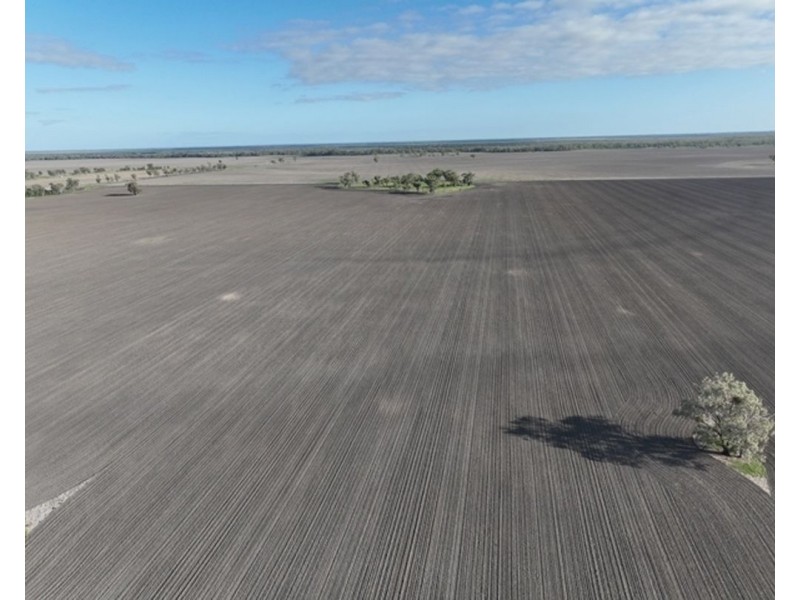 Guildford Aggregation, Boomi NSW 2405