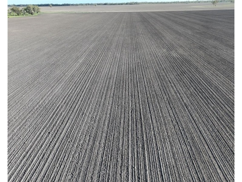 Guildford Aggregation, Boomi NSW 2405