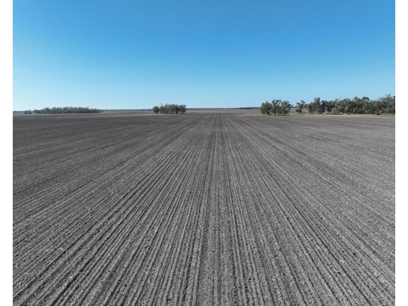 Guildford Aggregation, Boomi NSW 2405