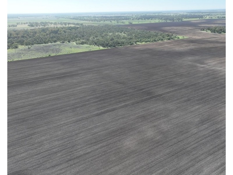 Guildford Aggregation, Boomi NSW 2405