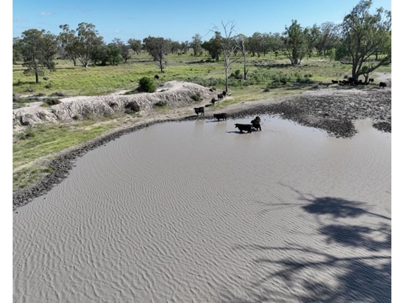 Guildford Aggregation, Boomi NSW 2405