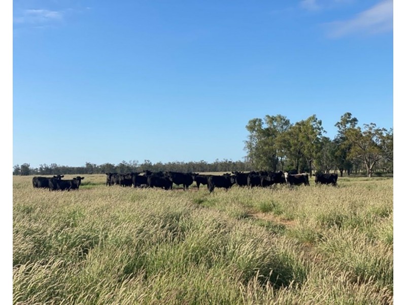 Guildford Aggregation, Boomi NSW 2405
