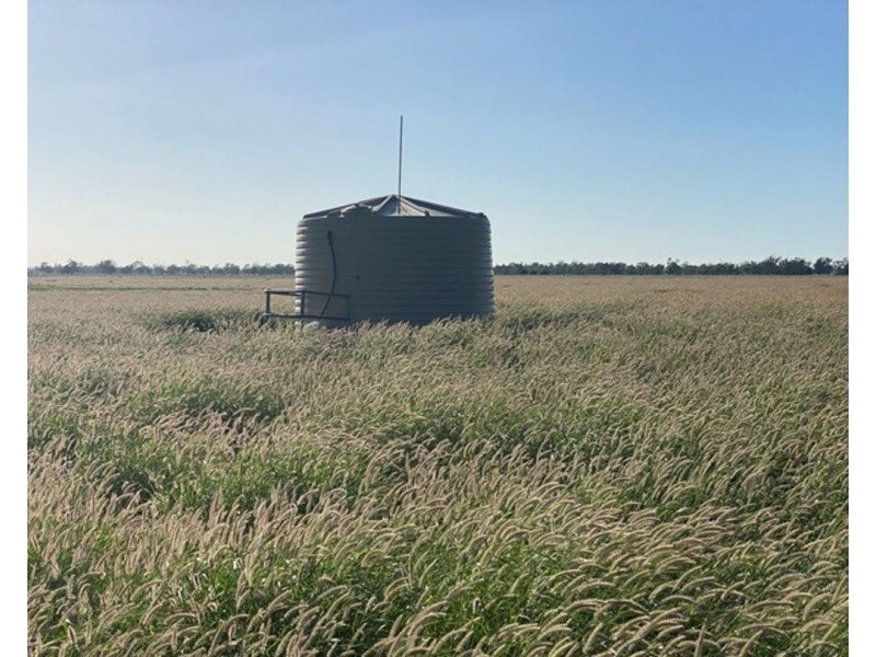 Guildford Aggregation, Boomi NSW 2405