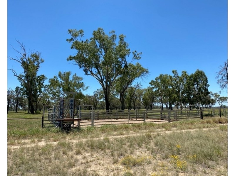 Guildford Aggregation, Boomi NSW 2405