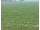 Guildford Aggregation, Boomi NSW 2405