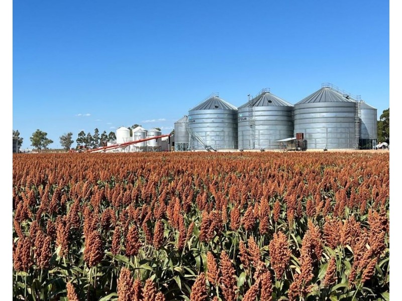 Muldoon, Moree NSW 2400