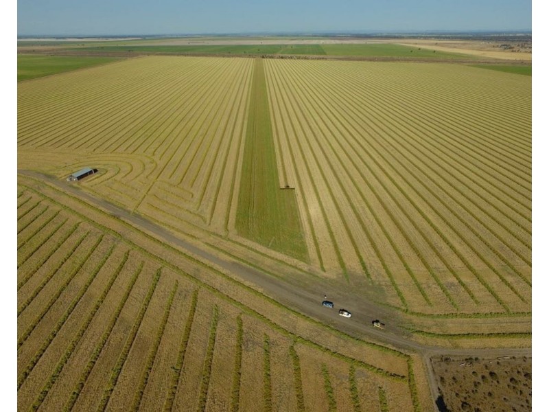 Muldoon, Moree NSW 2400