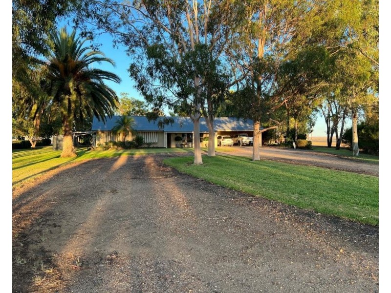 Muldoon, Moree NSW 2400