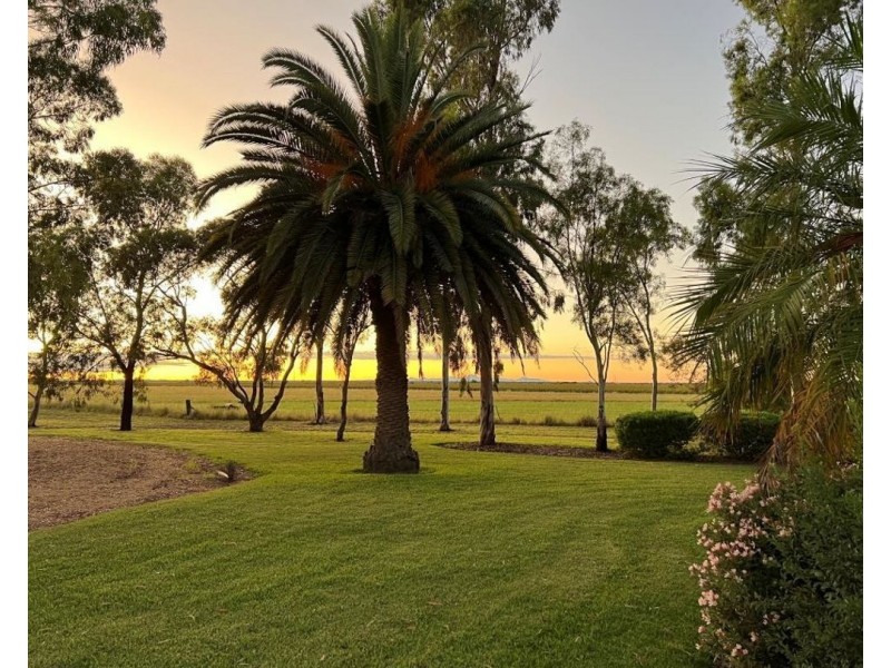 Muldoon, Moree NSW 2400