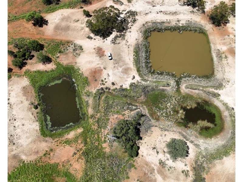 Springvale, Cumborah NSW 2832