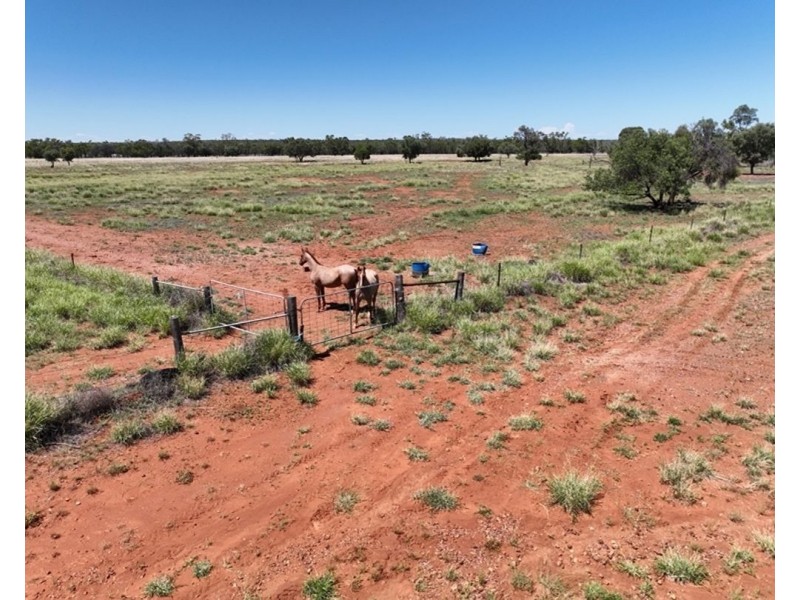 Springvale, Cumborah NSW 2832