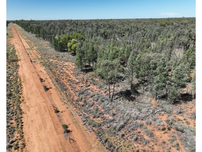 Springvale, Cumborah NSW 2832