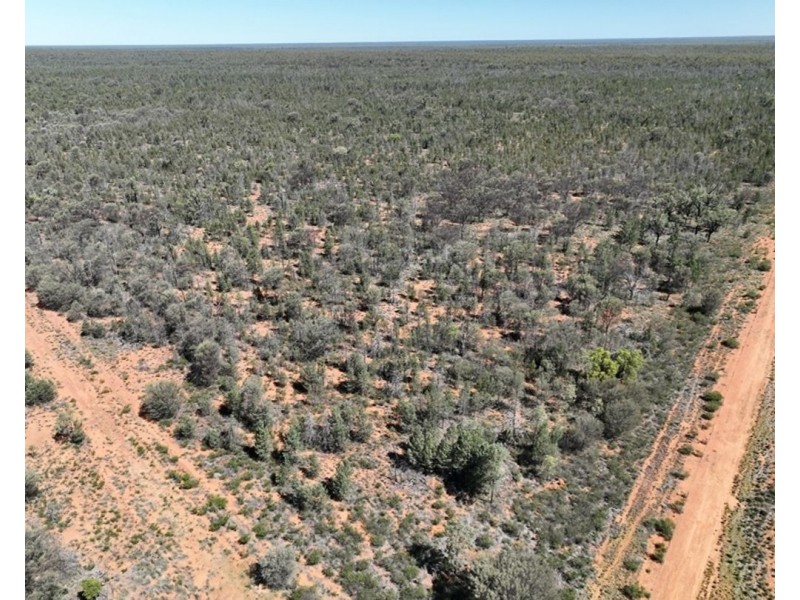 Springvale, Cumborah NSW 2832