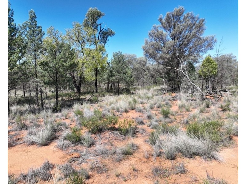 Springvale, Cumborah NSW 2832