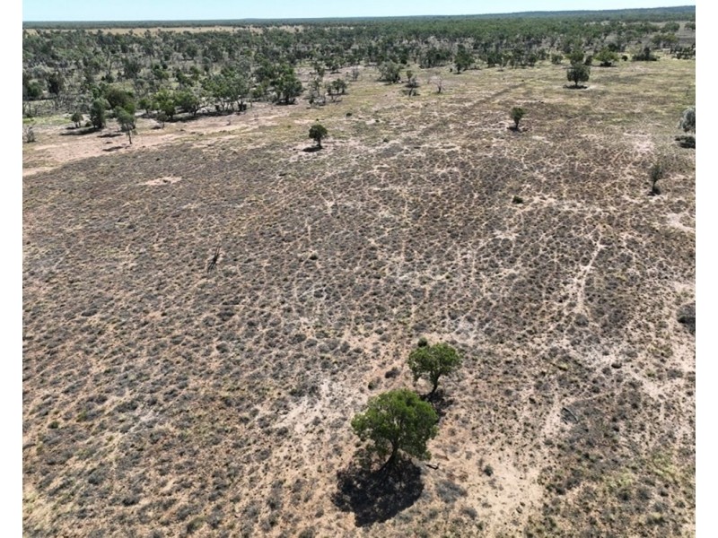 Springvale, Cumborah NSW 2832