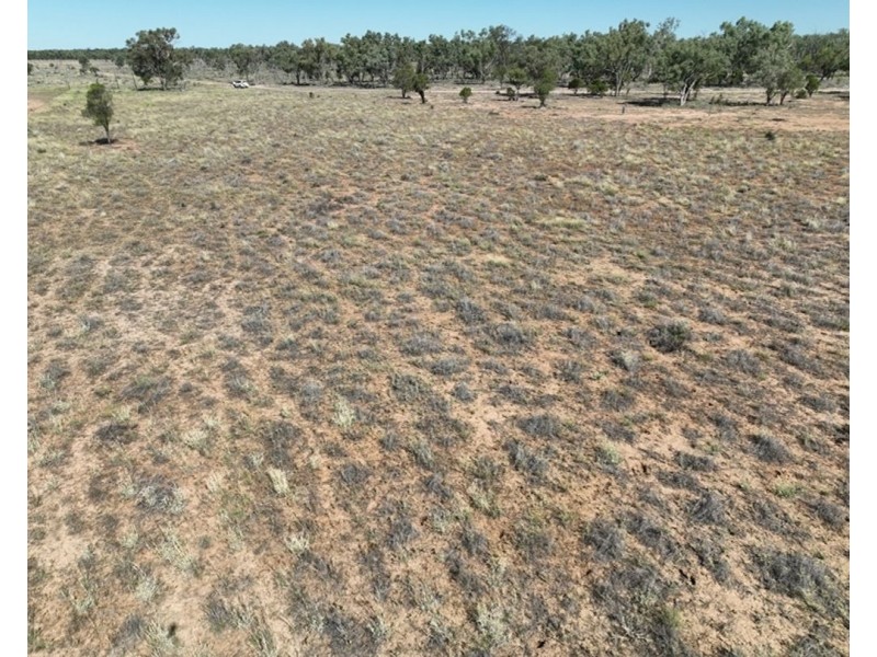 Springvale, Cumborah NSW 2832