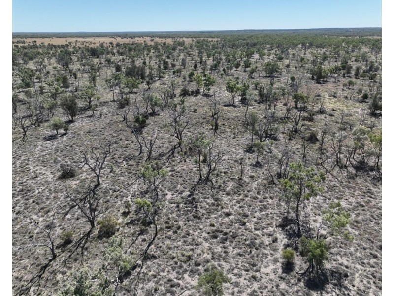 Springvale, Cumborah NSW 2832