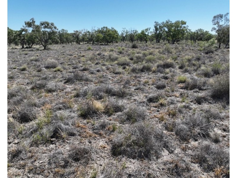 Springvale, Cumborah NSW 2832