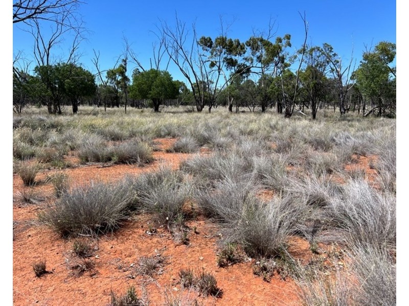 Springvale, Cumborah NSW 2832