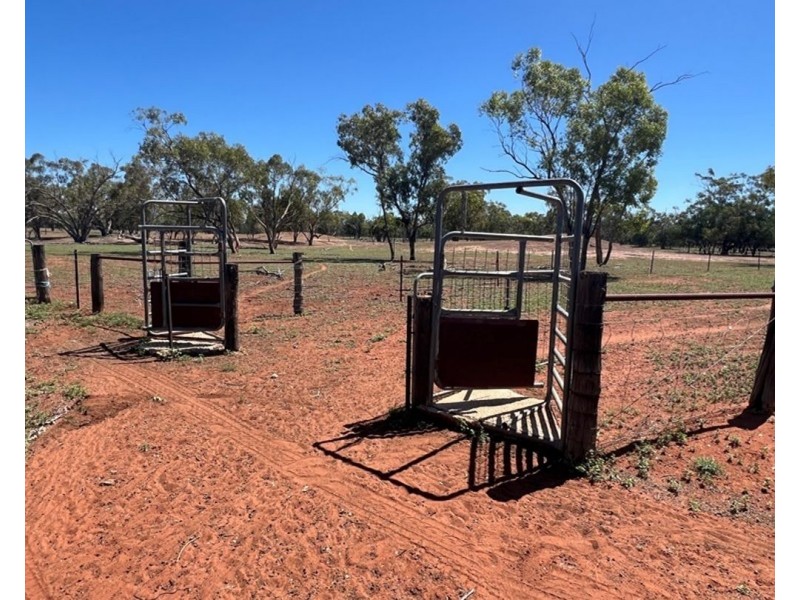 Springvale, Cumborah NSW 2832