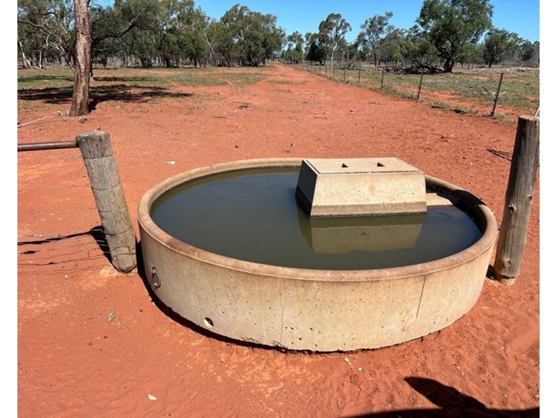 Springvale, Cumborah NSW 2832