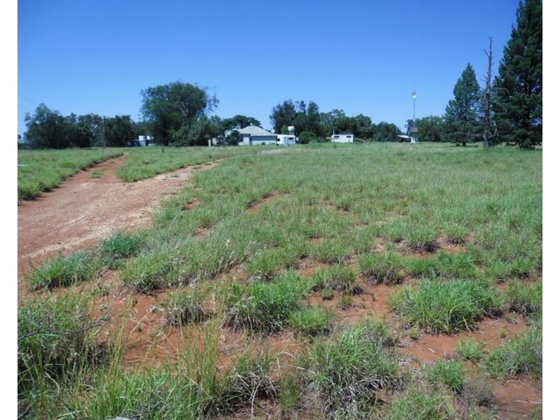 Springvale, Cumborah NSW 2832