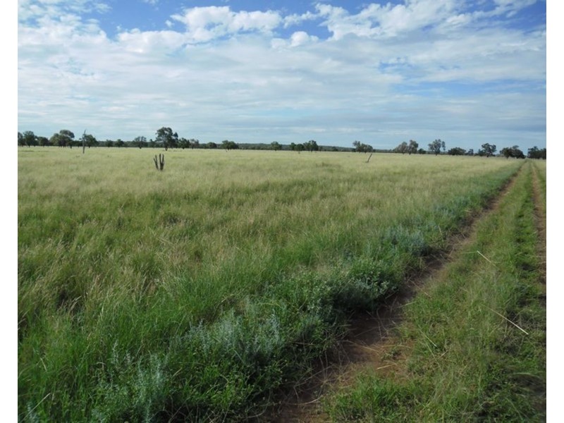 Springvale, Cumborah NSW 2832