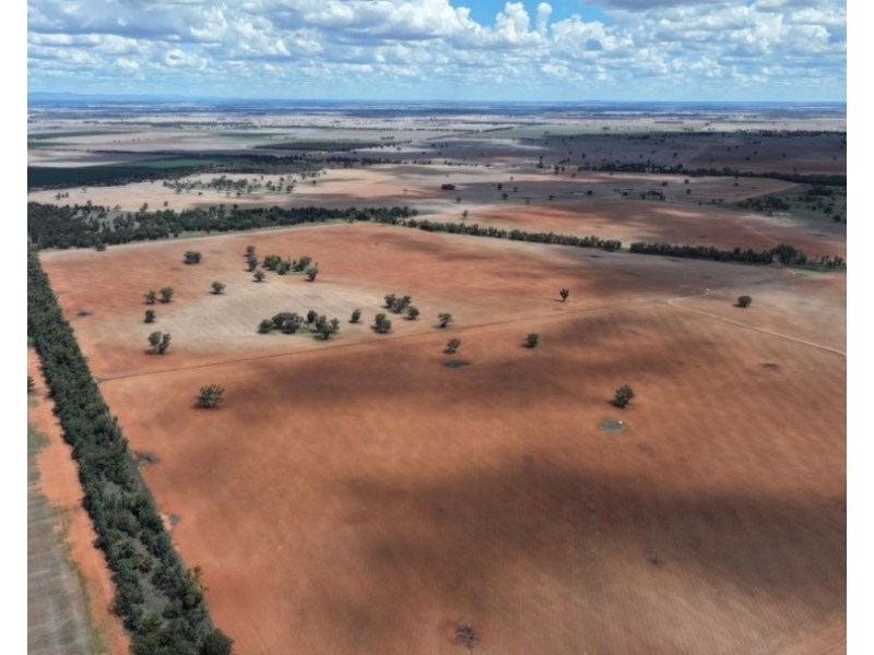 2921 Farrendale Road, Narromine NSW 2821
