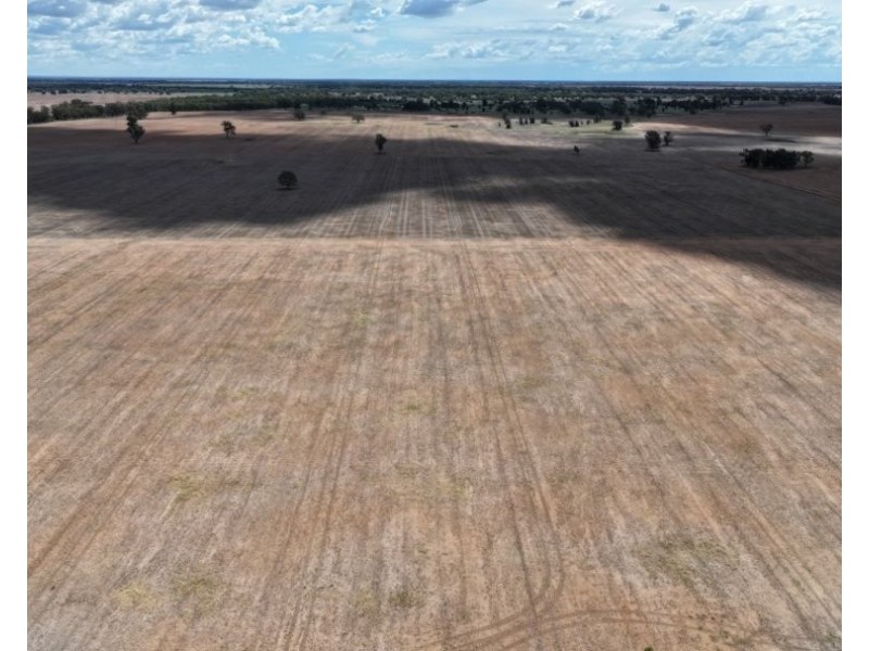 2921 Farrendale Road, Narromine NSW 2821