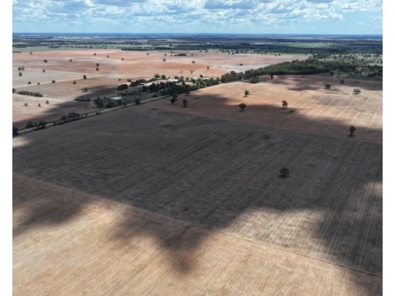 2921 Farrendale Road, Narromine NSW 2821