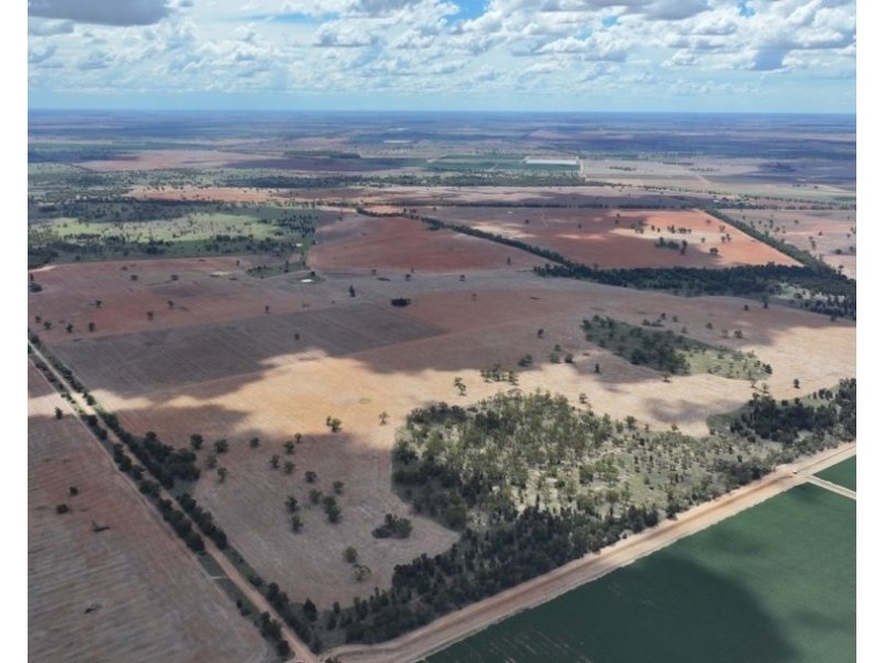 2921 Farrendale Road, Narromine NSW 2821
